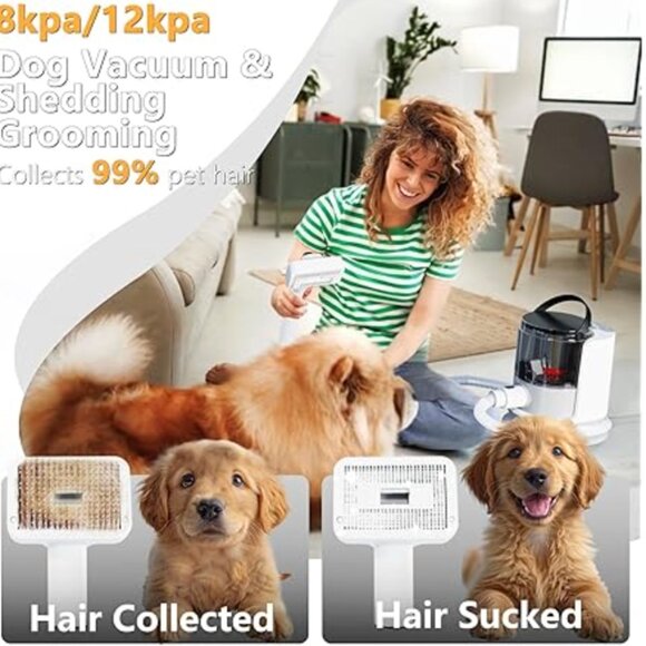 FOTING 5-in-1 Dog Grooming Vacuum | Pet Clippers + 12000Pa Suction - Picture 2 of 5